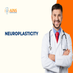 Understanding Neuroplasticity